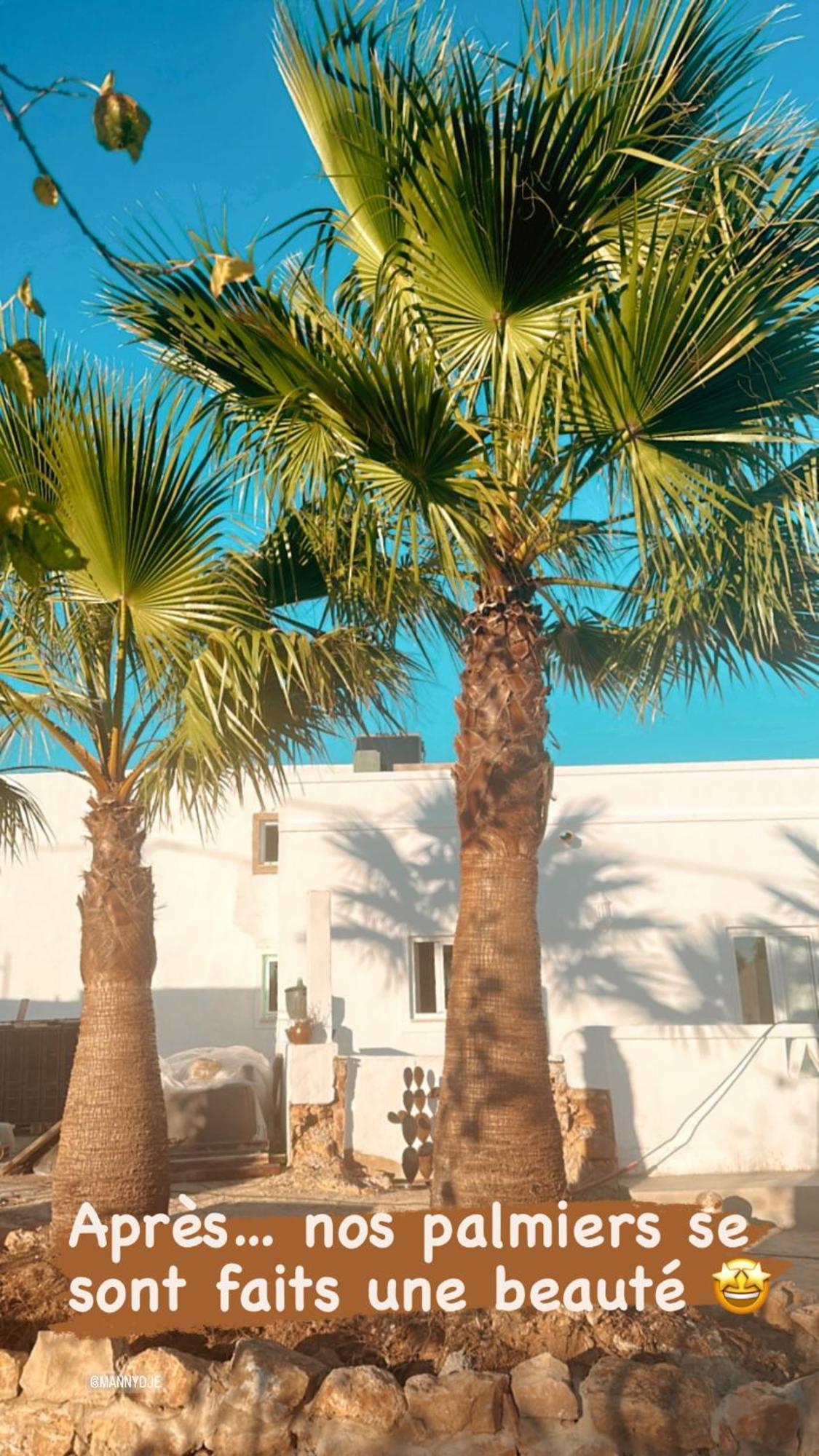 La Quinta Da Liberdade - Ferme De Charme En Algarve Villa Pechão Exteriör bild