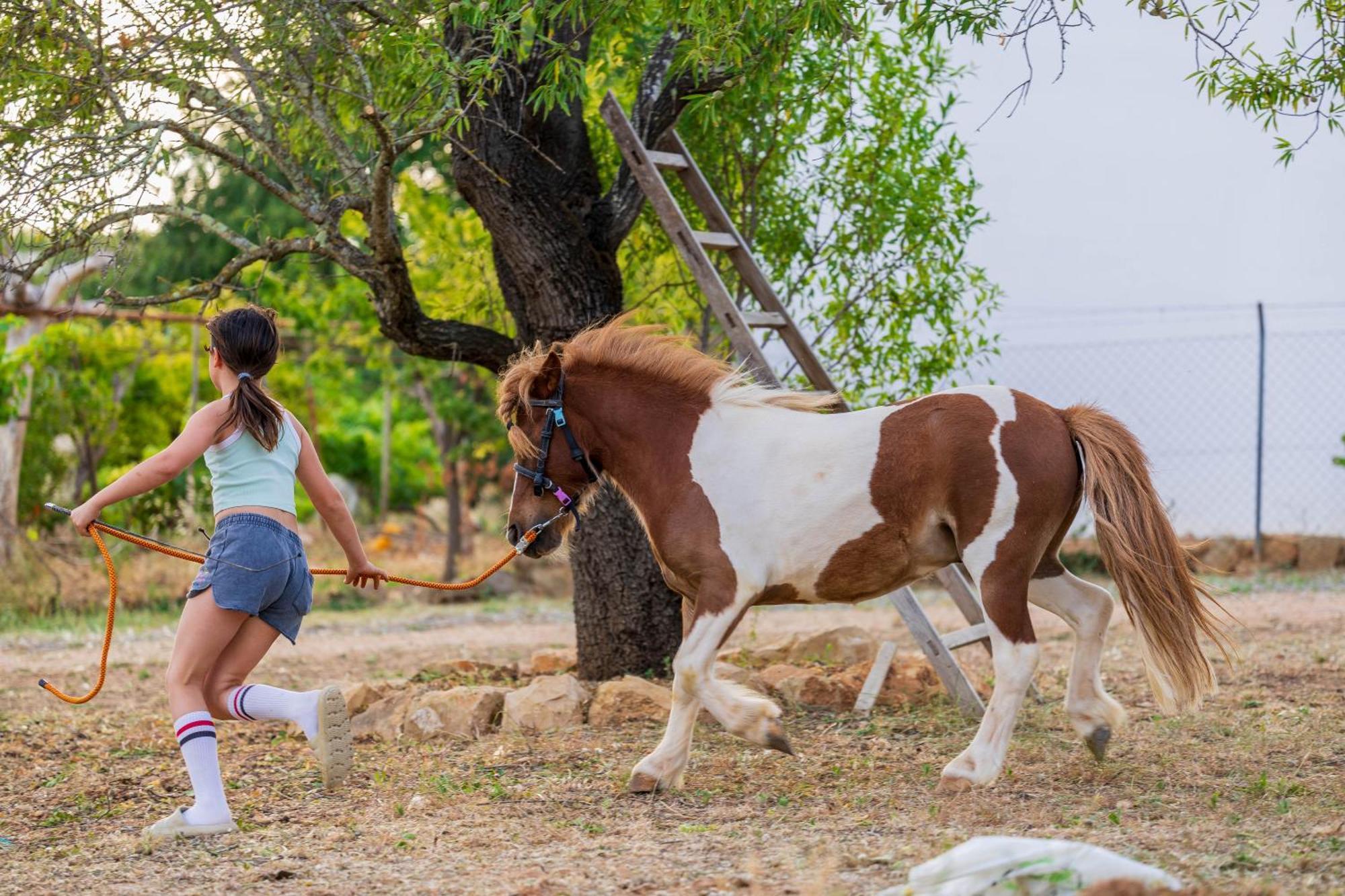 La Quinta Da Liberdade - Ferme De Charme En Algarve Villa Pechão Exteriör bild